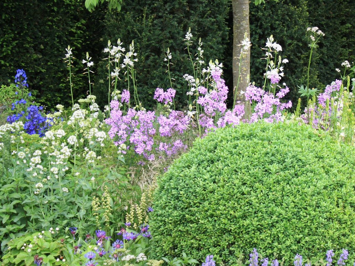 How to Add Structure to Your Garden with GRDN Design