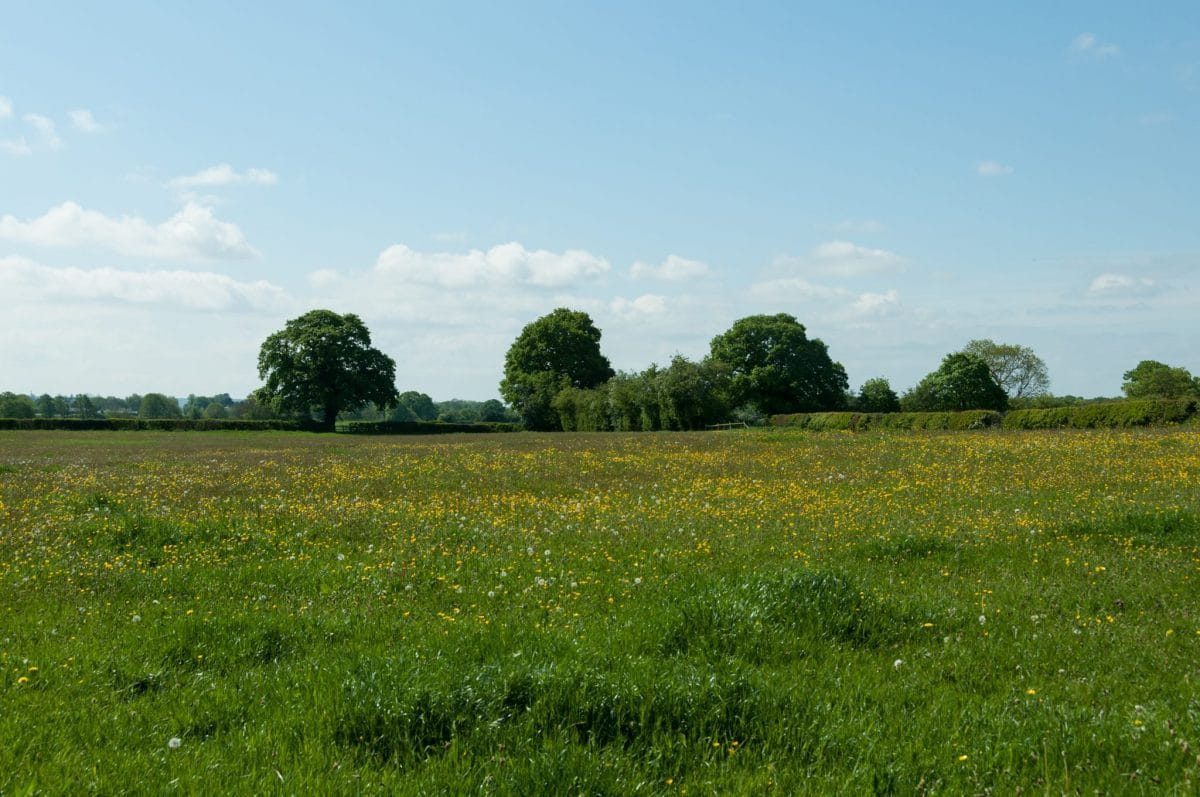 What makes the perfect plot for self-build?