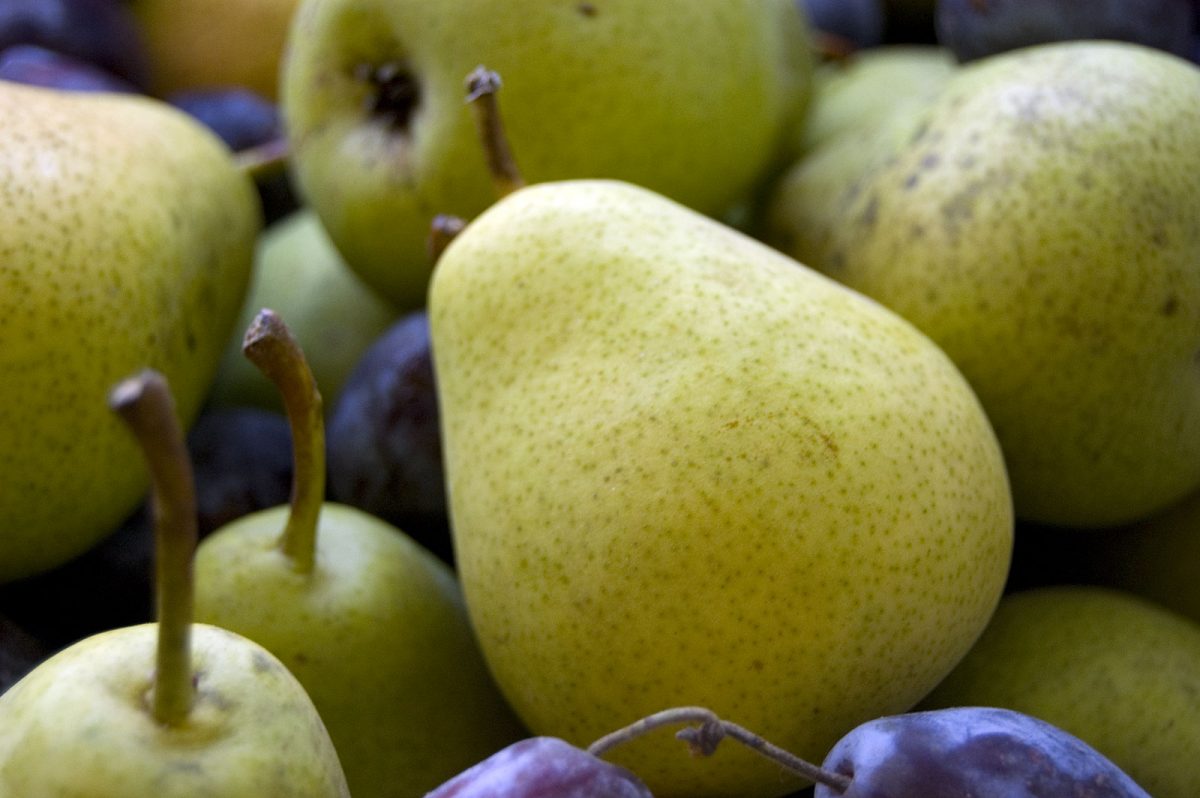 Top of the crops – becoming self-sufficient
