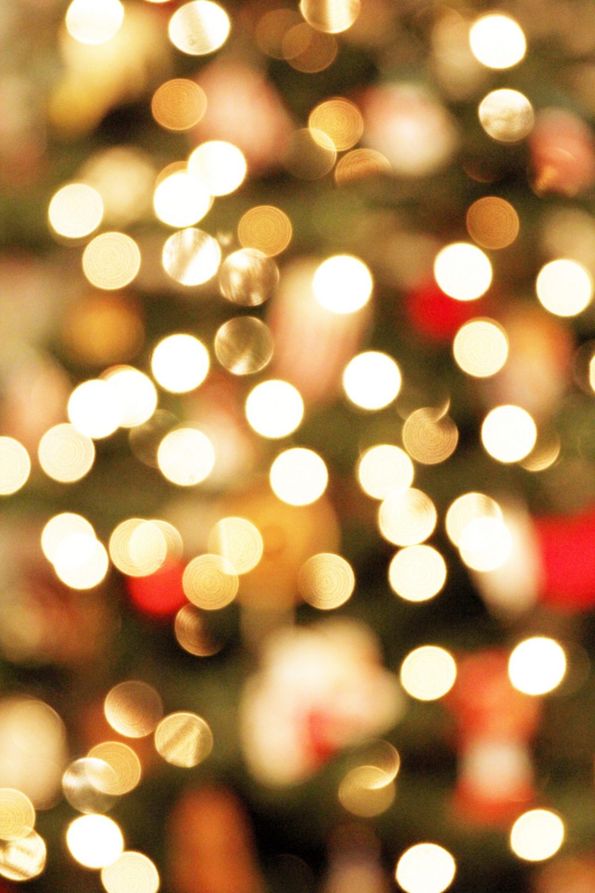 In the market for Christmas in Cheshire