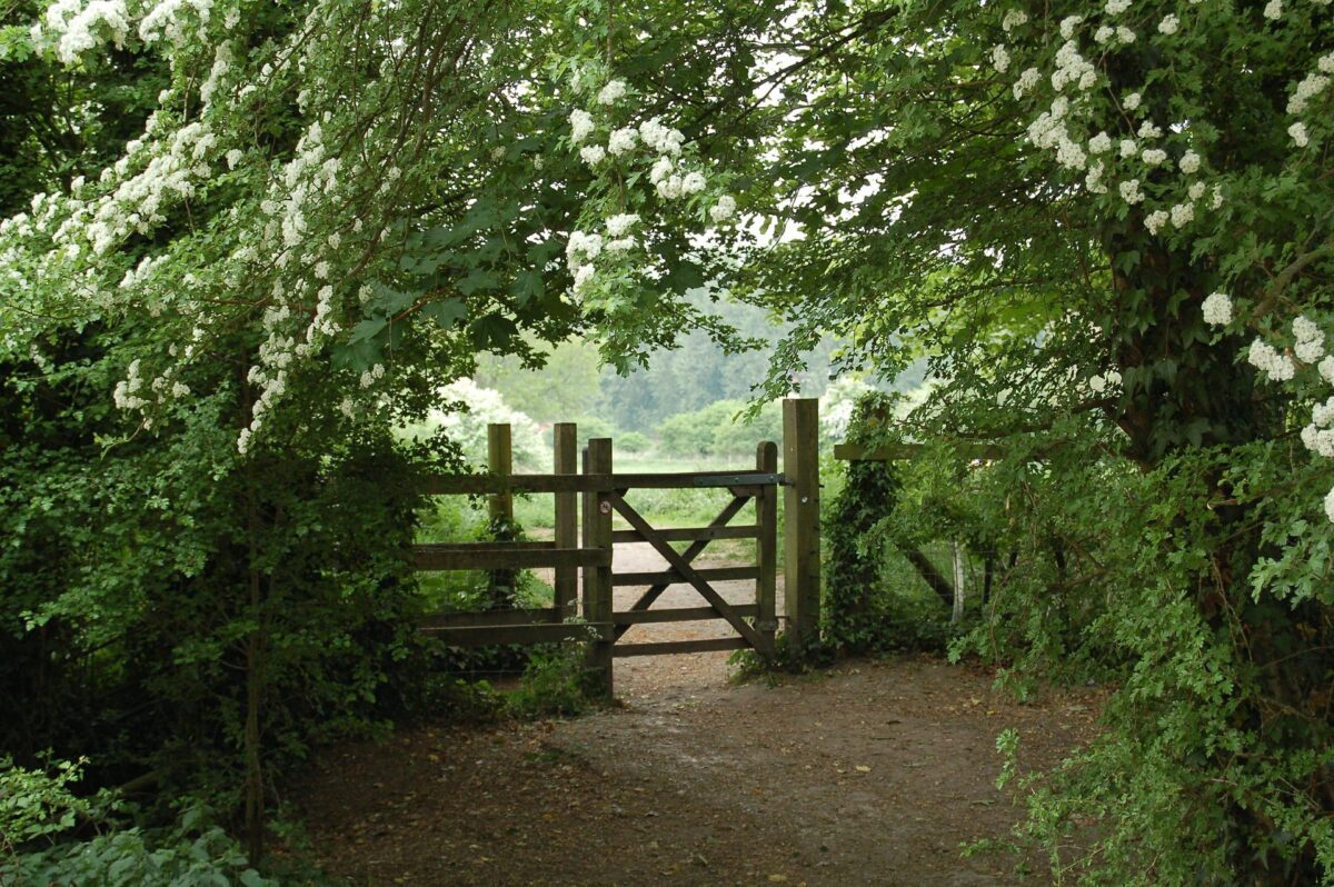 Maintaining boundaries on land or property