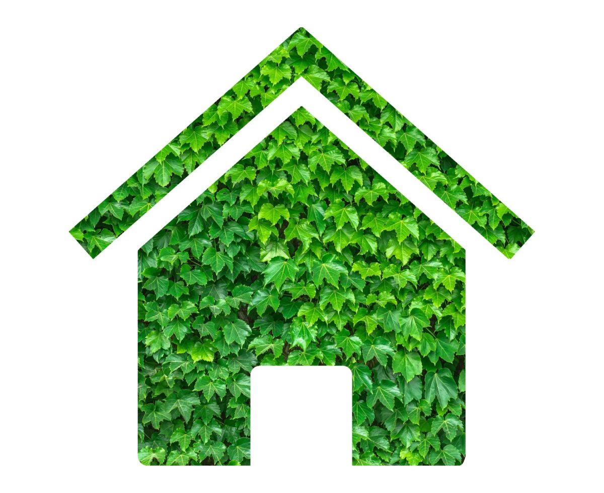 Sustainability in Self-Building: Part 2. Heating