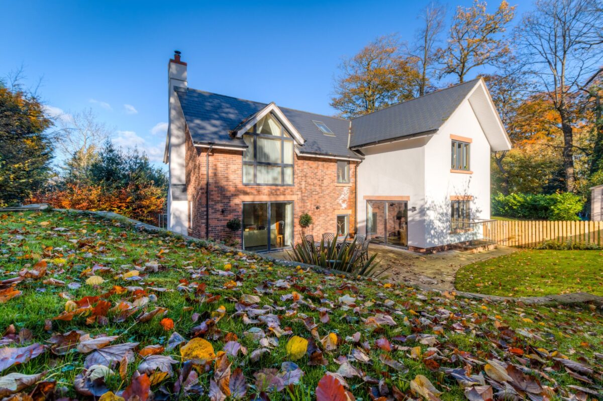 Essential gardening tasks for Autumn and Winter